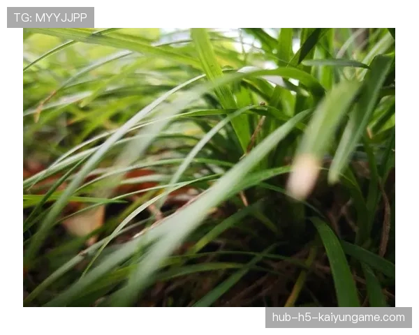 俱乐部启动节能改造 场馆绿色升级进行中，俱乐部改造设计说明